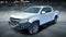 2019 Chevrolet Colorado 4WD Z71